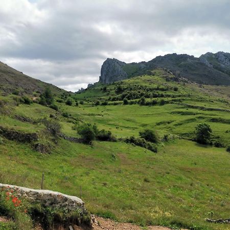 Vivienda Turistica Cueto Larama Vut-Le-860 Villa Villafeliz Ngoại thất bức ảnh